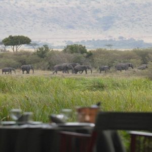 Kenya Honeymoon Packages Little Governors Elephants In The View