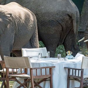 Kenya Honeymoon Packages Little Governors Elephants When Dining