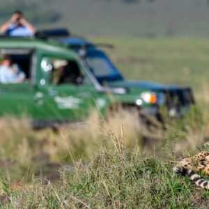 Kenya Honeymoon Packages Little Governors Wild Life 4