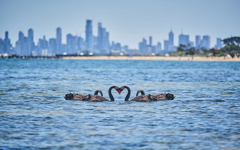 Romantic City Breaks For Valentine’s Day Melbourne