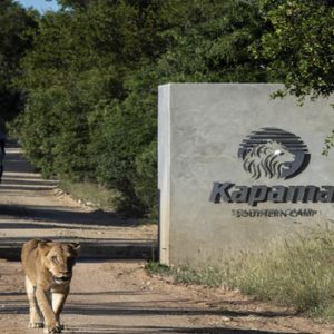 Safari Kapama Private Game Reserve South Africa Honeymoons