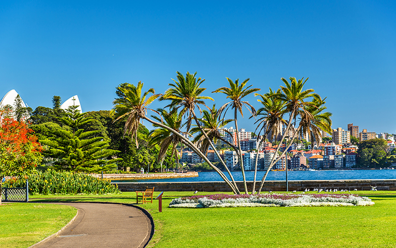 Top Romantic Things To Do In Sydney The Royal Botanic Gardens