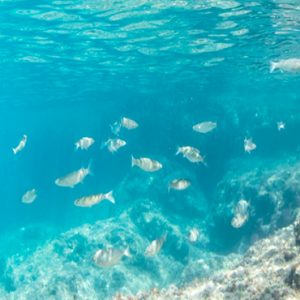 Underwater World Abaton Island Resort & Spa Greece Honeymoons