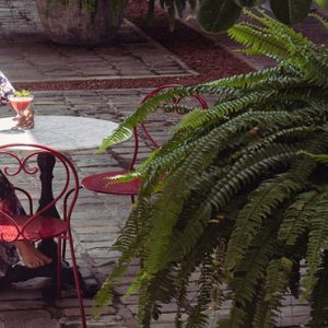 Woman Enjoying Cocktail In Garden Area The Fort Bazaar, Galle Sri Lanka Honeymoons