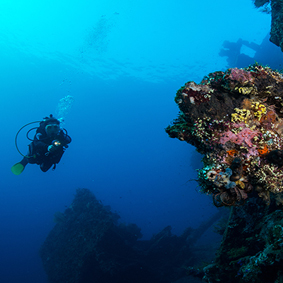 Dive A Shipwreck Best Things To Do In Bali Bali Honeymoons