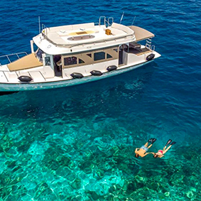 Hurawalhi House Reef Best Things To Do In The Maldives Maldives Honeymoons