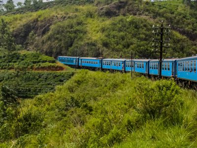 When is the Best Time to Visit Sri Lanka?