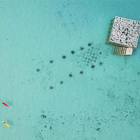 Underwater Museum Fairmont Maldives Best Things To Do In The Maldives Maldives Honeymoons