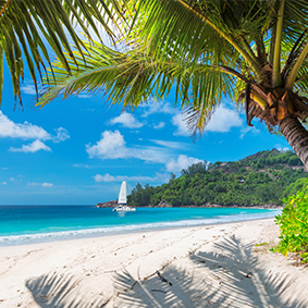 Caribbean Beach Honeymoons Honeymoon Types.