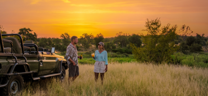 South Africa Safari