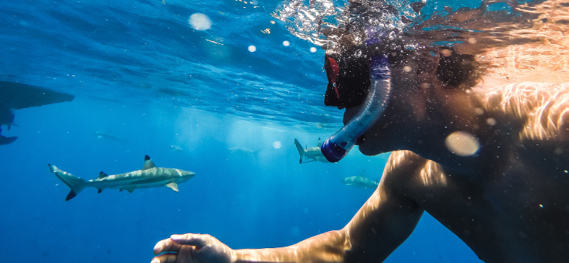Activities Serenity Vs. Adventure Bora Bora