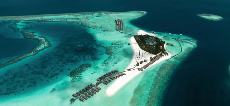 CONSTANCE MOOFUSHI