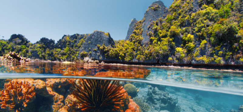 Raja Ampat Indonesia