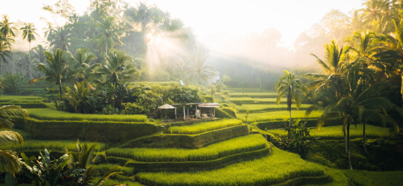 Bali, Indonesia