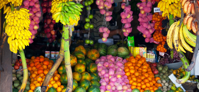 Flavour Filled Culinary Adventures