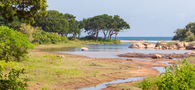 Wild Encounters & Romantic Trails